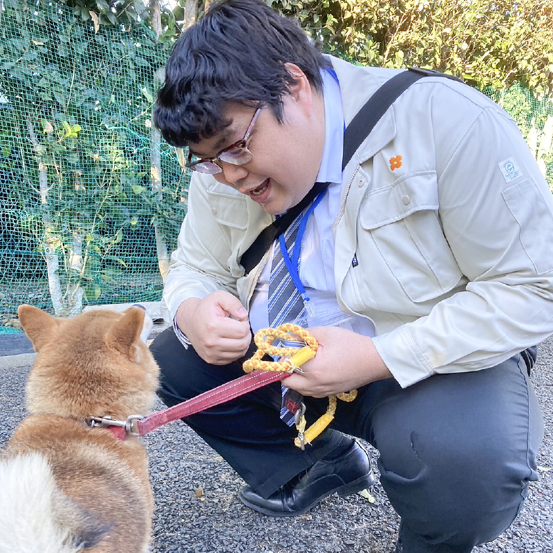 収容犬の健康観察